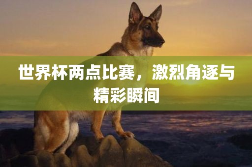 世界杯两点比赛，激烈角逐与精彩瞬间