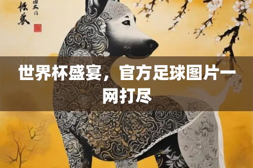 世界杯盛宴，官方足球图片一网打尽