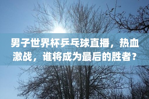 男子世界杯乒乓球直播，热血激战，谁将成为最后的胜者？