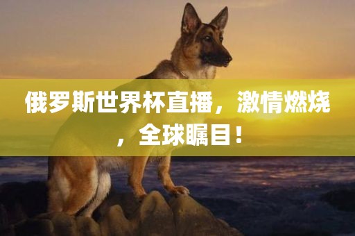俄罗斯世界杯直播，激情燃烧，全球瞩目！