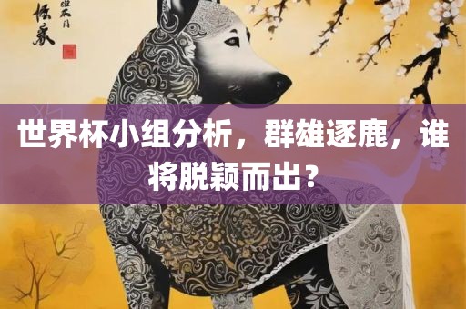 世界杯小组分析，群雄逐鹿，谁将脱颖而出？