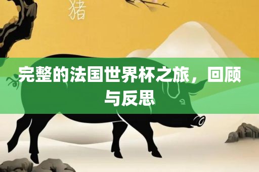 完整的法国世界杯之旅，回顾与反思
