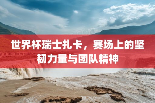 世界杯瑞士扎卡，赛场上的坚韧力量与团队精神