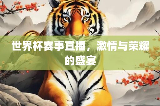世界杯赛事直播，激情与荣耀的盛宴