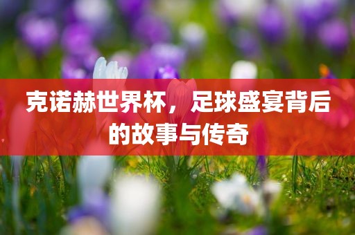 克诺赫世界杯，足球盛宴背后的故事与传奇