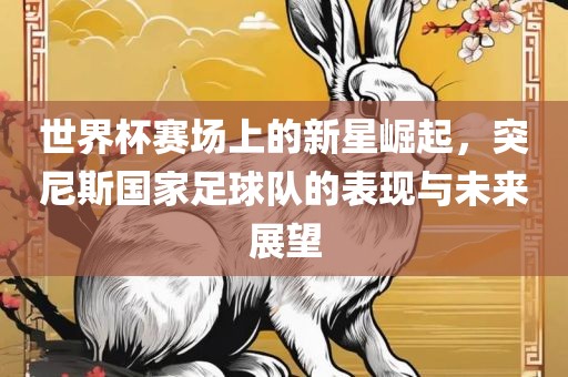 世界杯赛场上的新星崛起，突尼斯国家足球队的表现与未来展望