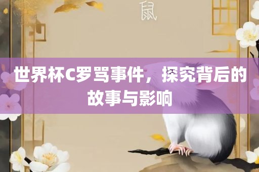 世界杯C罗骂事件，探究背后的故事与影响
