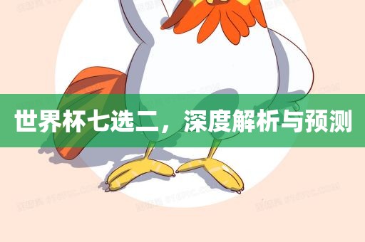 世界杯七选二，深度解析与预测