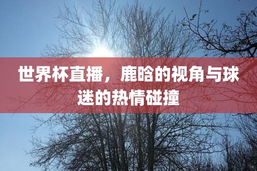 世界杯直播，鹿晗的视角与球迷的热情碰撞