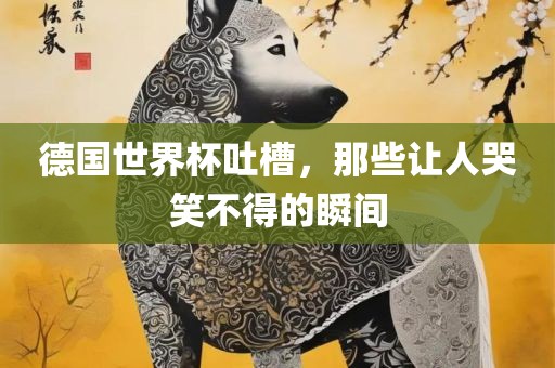 德国世界杯吐槽，那些让人哭笑不得的瞬间