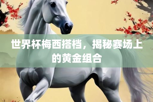 世界杯梅西搭档，揭秘赛场上的黄金组合