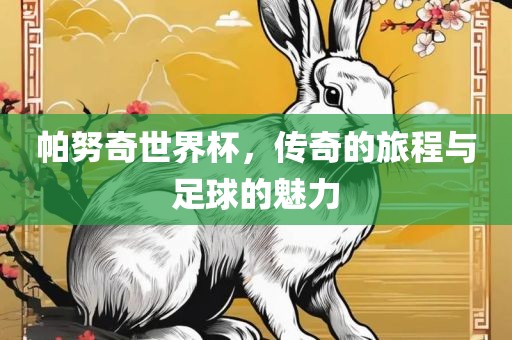 帕努奇世界杯，传奇的旅程与足球的魅力