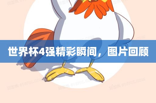 世界杯4强精彩瞬间，图片回顾