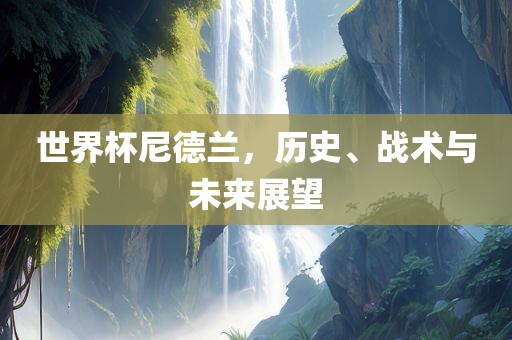 世界杯尼德兰，历史、战术与未来展望