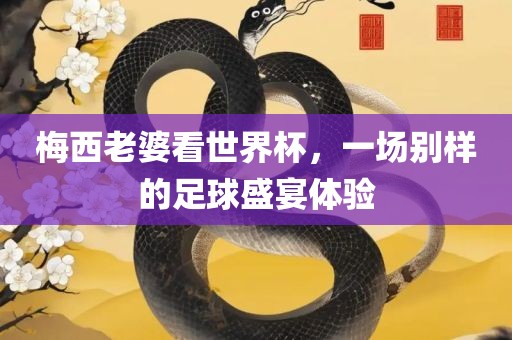 梅西老婆看世界杯，一场别样的足球盛宴体验