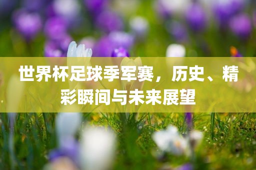 世界杯足球季军赛，历史、精彩瞬间与未来展望