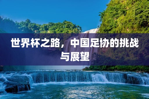 世界杯之路，中国足协的挑战与展望