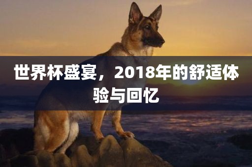 世界杯盛宴，2018年的舒适体验与回忆