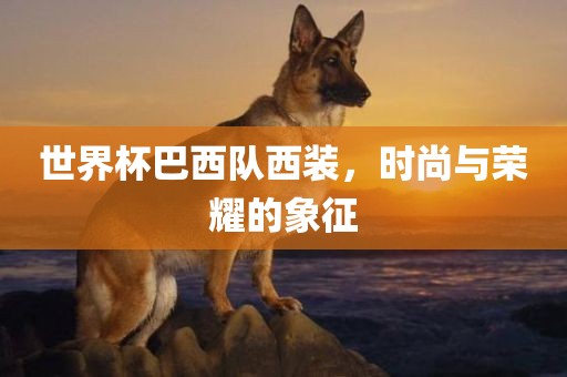 世界杯巴西队西装，时尚与荣耀的象征
