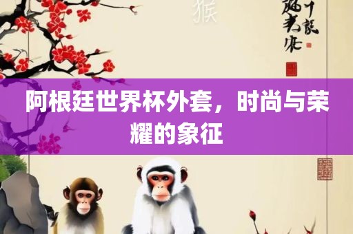 阿根廷世界杯外套，时尚与荣耀的象征