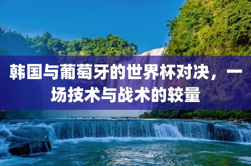 韩国与葡萄牙的世界杯对决，一场技术与战术的较量