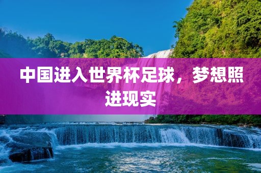 中国进入世界杯足球，梦想照进现实