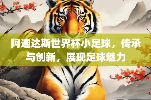 阿迪达斯世界杯小足球，传承与创新，展现足球魅力