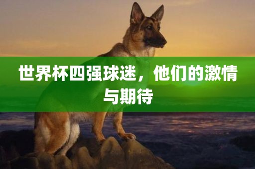 世界杯四强球迷，他们的激情与期待