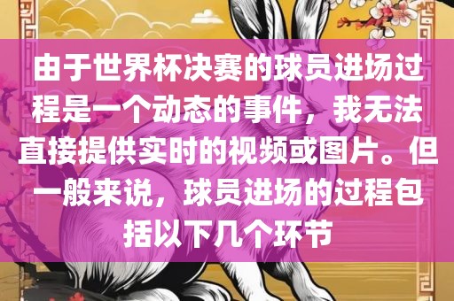 由于世界杯决赛的球员进场过程是一个动态的事件，我无法直接提供实时的视频或图片。但一般来说，球员进场的过程包括以下几个环节