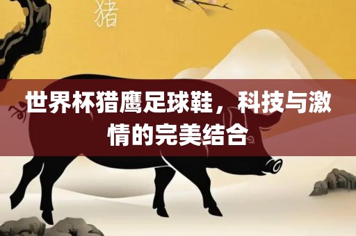 世界杯猎鹰足球鞋，科技与激情的完美结合