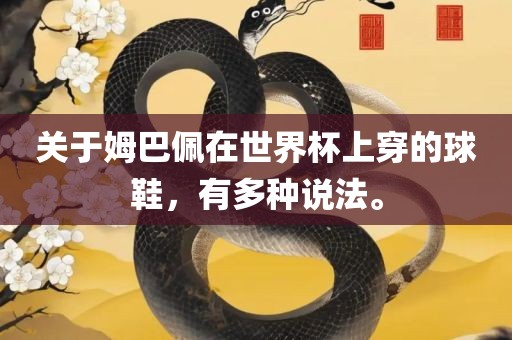 关于姆巴佩在世界杯上穿的球鞋，有多种说法。