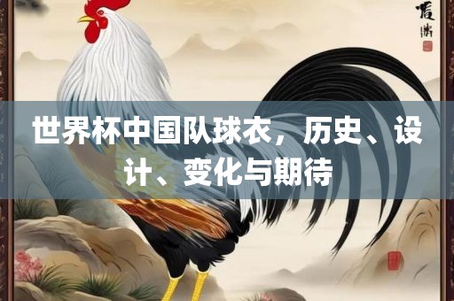 世界杯中国队球衣，历史、设计、变化与期待