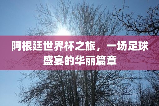 阿根廷世界杯之旅，一场足球盛宴的华丽篇章