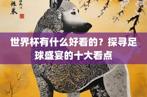 世界杯有什么好看的？探寻足球盛宴的十大看点