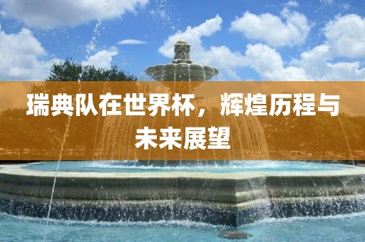 瑞典队在世界杯，辉煌历程与未来展望