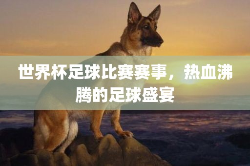 世界杯足球比赛赛事，热血沸腾的足球盛宴