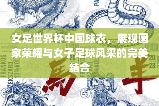 女足世界杯中国球衣，展现国家荣耀与女子足球风采的完美结合