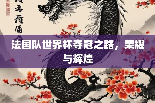 法国队世界杯夺冠之路，荣耀与辉煌