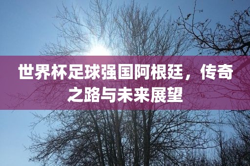 世界杯足球强国阿根廷，传奇之路与未来展望