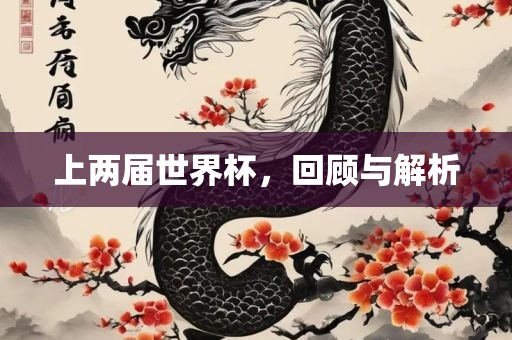 上两届世界杯，回顾与解析
