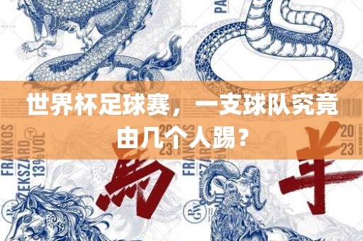 世界杯足球赛，一支球队究竟由几个人踢？