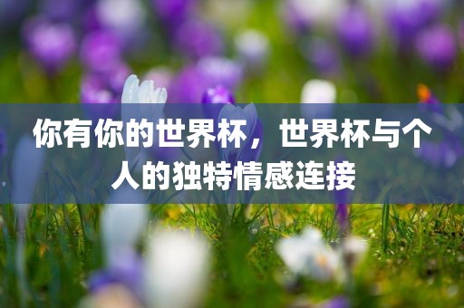 你有你的世界杯，世界杯与个人的独特情感连接
