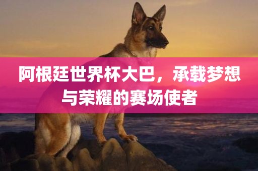 阿根廷世界杯大巴，承载梦想与荣耀的赛场使者