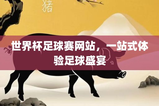 世界杯足球赛网站，一站式体验足球盛宴