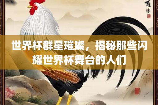世界杯群星璀璨，揭秘那些闪耀世界杯舞台的人们