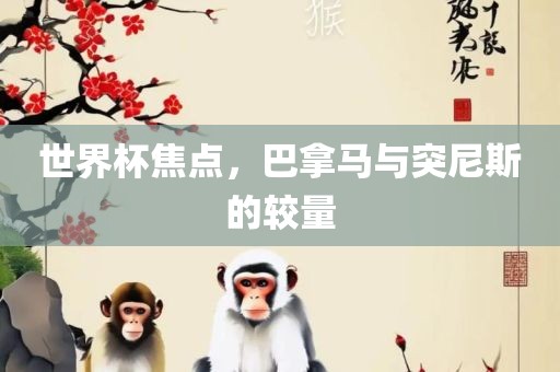 世界杯焦点，巴拿马与突尼斯的较量
