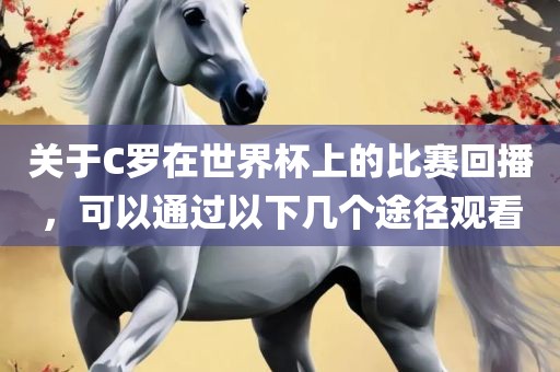 关于C罗在世界杯上的比赛回播，可以通过以下几个途径观看