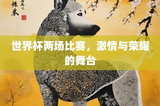 世界杯两场比赛，激情与荣耀的舞台