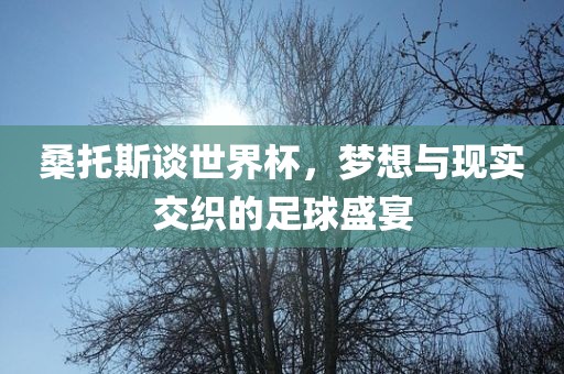 桑托斯谈世界杯，梦想与现实交织的足球盛宴