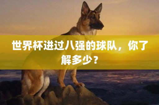 世界杯进过八强的球队，你了解多少？